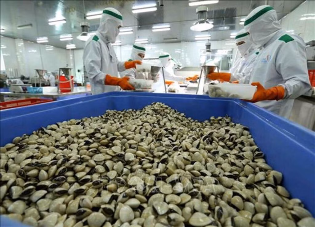 Les produits vietnamiens à base de palourdes ont conquis de nombreux marchés à travers le monde. Photo: VNA.
