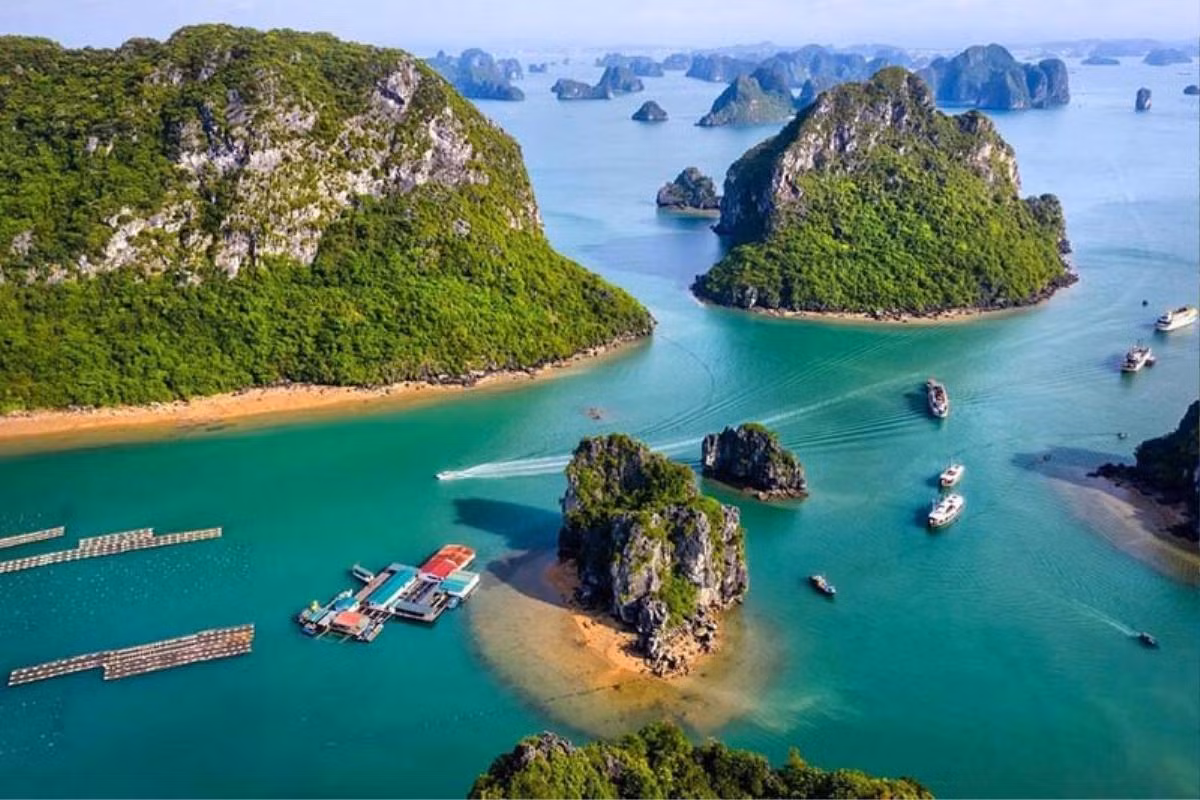 Ici, les visiteurs peuvent déguster des plats de produits aquatiques préparés sur place et très frais ainsi que faire du kayak pour explorer les magnifiques paysages autour du village. Photo : Saostar.