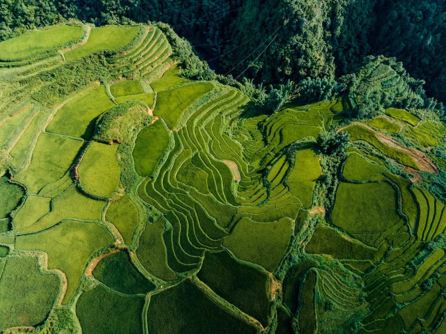 D'en haut, l'image de la vallée de Muong Hoa est tissée de douces bandes de soie verte mélangées aux couleurs paisibles des villages, aussi belle qu'un poème. Photo : TNO.
