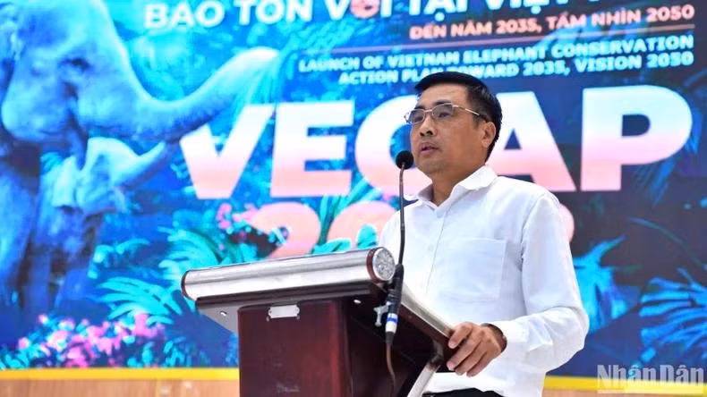 Selon le vice-ministre vietnamien de l'Agriculture et du Développement rural, Nguyen Quoc Tri, le Plan d’action national sur la conservation des éléphants d’ici 2035, avec une vision jusqu'en 2050, traduit l'engagement du Vietnam à mettre en œuvre une stratégie synergique pour promouvoir la culture et assurer l'avenir de cette espèce en voie de disparition. Photo : NDEL. Selon le vice-ministre vietnamien de l'Agriculture et du Développement rural, Nguyen Quoc Tri, le Plan d’action national sur la conservation des éléphants d’ici 2035, avec une vision jusqu'en 2050, traduit l'engagement du Vietnam à mettre en œuvre une stratégie synergique pour promouvoir la culture et assurer l'avenir de cette espèce en voie de disparition. Photo : NDEL.
