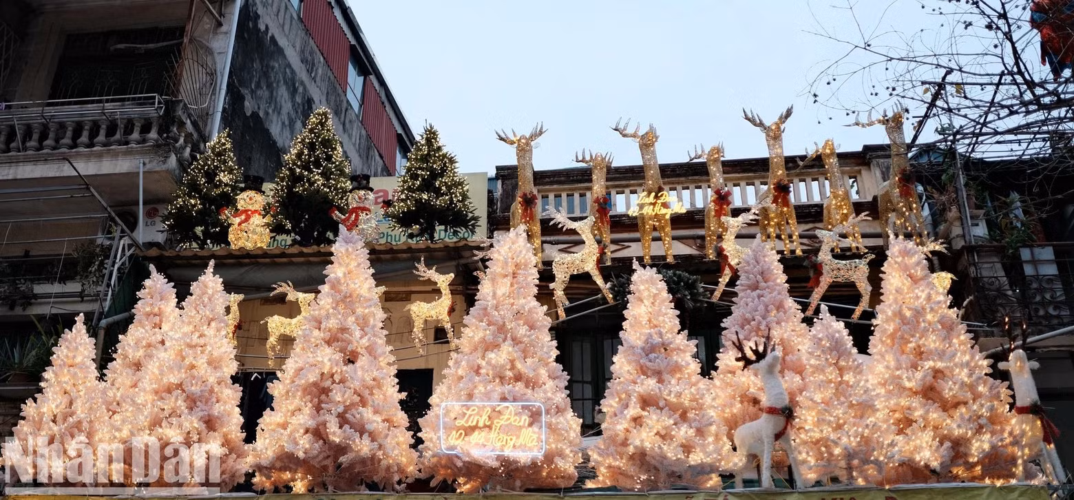 La rue de Hang Ma est une des destinations de prédilection des touristes étrangers à l’occasion de Noël. M. Peter, un touriste australien, a confié : « Je ne pouvais pas imaginer que la fête de Noël recevrait autant d’attention au Vietnam. C’est intéressant de voir des magasins décorés de couleurs vives et des gens enthousiasmés par cette fête ». Photo : Trung Hieu/NDEL.