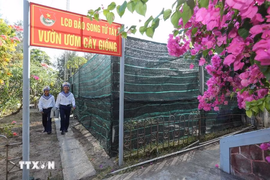 Chaque année, le jardin de semis de l'île de Song Tu Tay,...