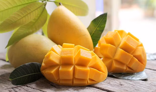 La mangue Cat Chu (de la province de Dông Thap, dans le delta du Mékong) est bien appréciée sur le marché domestique comme étranger. La mangue Cat Chu (de la province de Dông Thap, dans le delta du Mékong) est bien appréciée sur le marché domestique comme étranger.