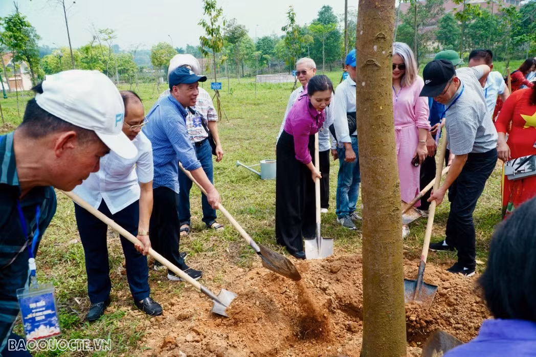 Après la cérémonie d'offrande d'encens, la délégation de Viêt kiêu a planté un arbre de souvenir dans la zone des reliques historiques du Temple des rois Hùng. Photo: baoquocte.vn.