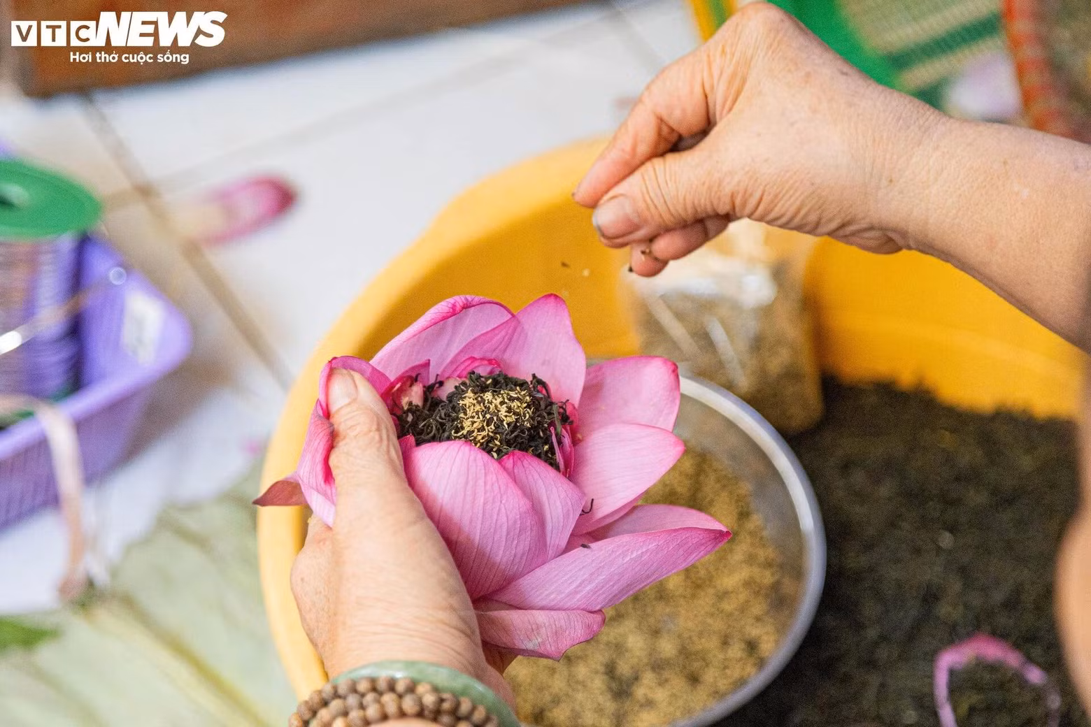 Pendant que le thé est emballé dans la fleur, le thé absorbe son parfum. Les fleurs de lotus utilisées pour faire le thé au lotus doivent donc avoir des pédoncules.