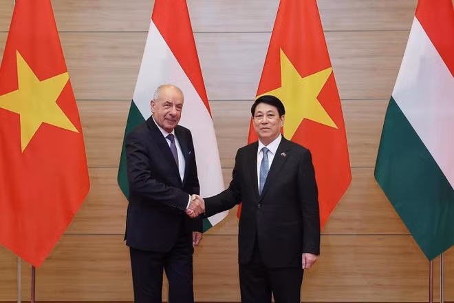 Le président Luong Cuong (droite) et le président hongrois Sulyok Tamas. Photo : VNA.