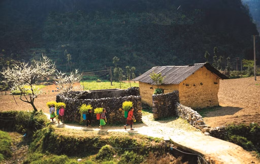 Le printemps arrive à Hà Giang. Photo : baohagiang.vn