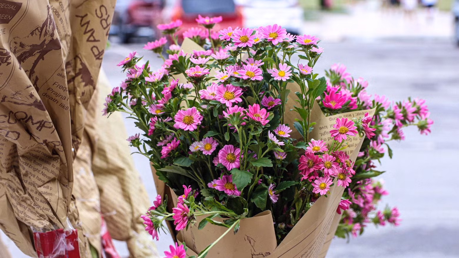 Des bouquets de fleurs multicolores égayent les coins de rue d’Ha Long. Photo: daidoanket Des bouquets de fleurs multicolores égayent les coins de rue d’Ha Long. Photo: daidoanket