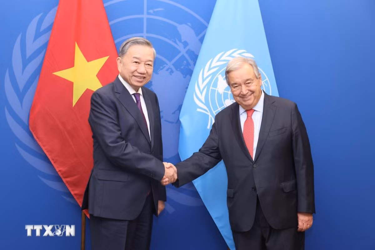 Le secrétaire général du Parti communiste du Vietnam et président de la République, Tô Lâm (à gauche), et le secrétaire général de l'ONU, António Guterres, le 24 septembre à New York. Photo : VNA. Le secrétaire général du Parti communiste du Vietnam et président de la République, Tô Lâm (à gauche), et le secrétaire général de l'ONU, António Guterres, le 24 septembre à New York. Photo : VNA.