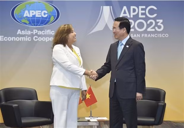 Le Président Vo Van Thuong (à droite) et la Présidente péruvienne Dina Ercilia Boluarte Zegarra à San Francisco, aux États-Unis, le 17 novembre. Photo : VNA.
