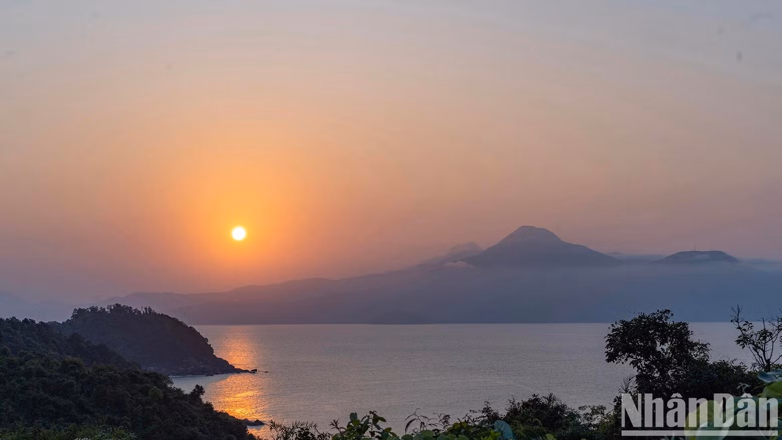 Le coucher du soleil est le moment idéal pour observer des volées de douc manger des feuilles le long de la route sur la péninsule de Son Tra.