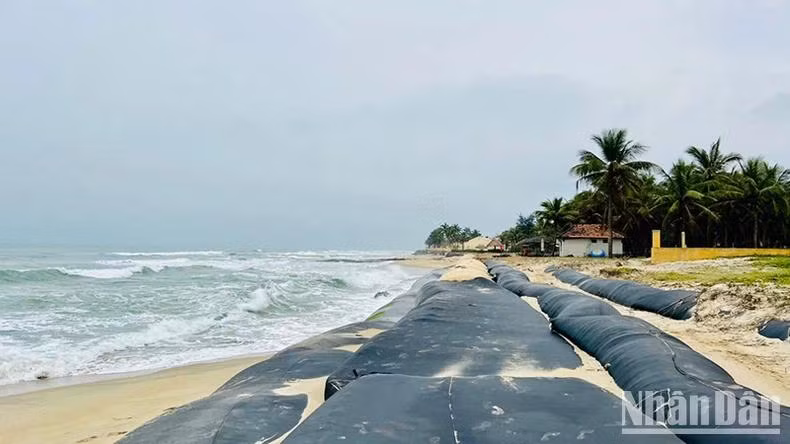 La plage de Hoi An, reconnue comme la plus belle plage d'Asie, subit une grave érosion depuis 2014, perdant ses plages et endommageant les infrastructures le long de la côte. Photo : NDEL. La plage de Hoi An, reconnue comme la plus belle plage d'Asie, subit une grave érosion depuis 2014, perdant ses plages et endommageant les infrastructures le long de la côte. Photo : NDEL.
