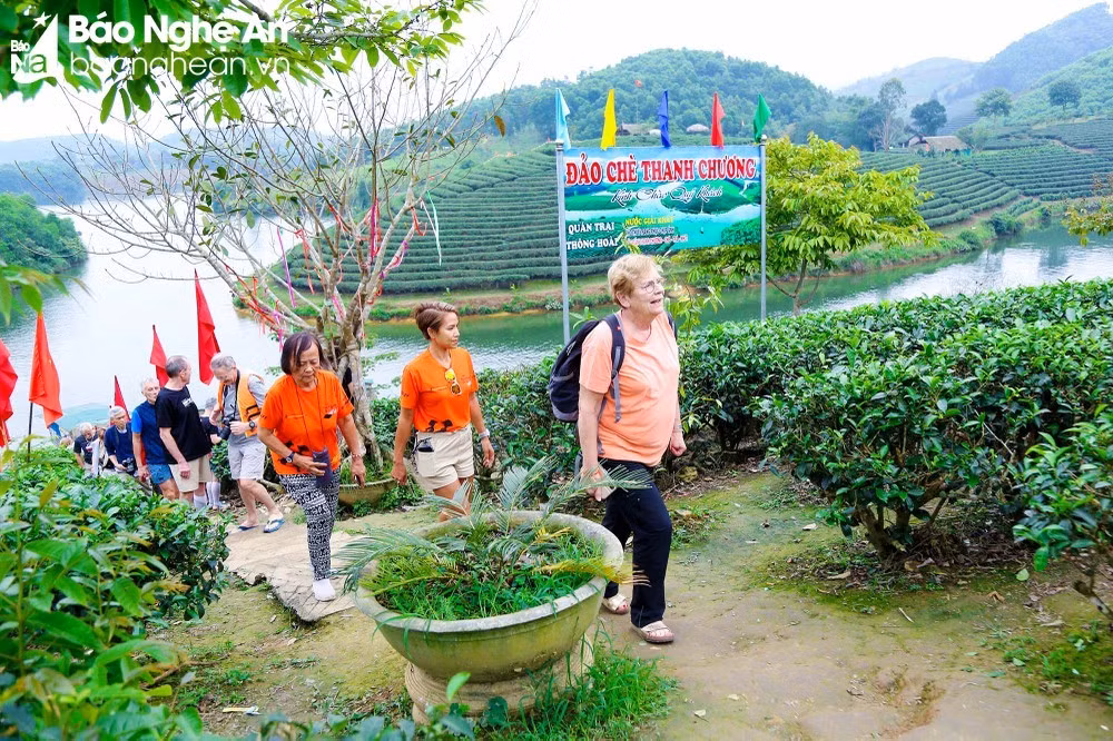 Les touristes français se sont précipités avec enthousiasme pour explorer les îlots du Thé. Photo : Dinh Tuyên/baonghean.vn