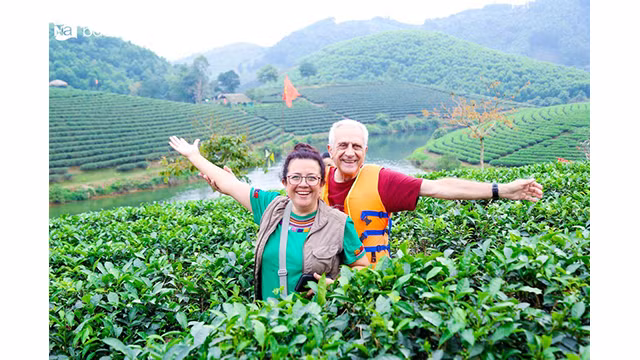 Ils plongent dans un paysage naturel poétique. Photo : Dinh Tuyên/baonghean.vn