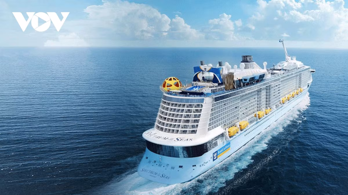 Construit par Meyer Werft (Allemagne), le Spectrum of the Seas a été mis en service en avril 2019. Il mesure 347 m de long, 63 m de haut (16 étages) avec plus de 2 000 chambres. Photo: VOV Construit par Meyer Werft (Allemagne), le Spectrum of the Seas a été mis en service en avril 2019. Il mesure 347 m de long, 63 m de haut (16 étages) avec plus de 2 000 chambres. Photo: VOV