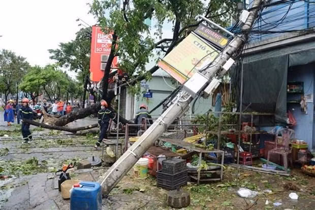 Un poteau électrique abattu à Da Nang. Photo: VNA Un poteau électrique abattu à Da Nang. Photo: VNA
