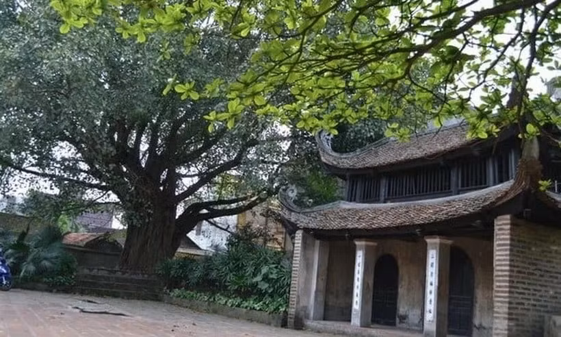 Des vestiges architecturaux de l'ancien village de Lai Dà, village natal du SG Nguyên Phu Trong ảnh 1