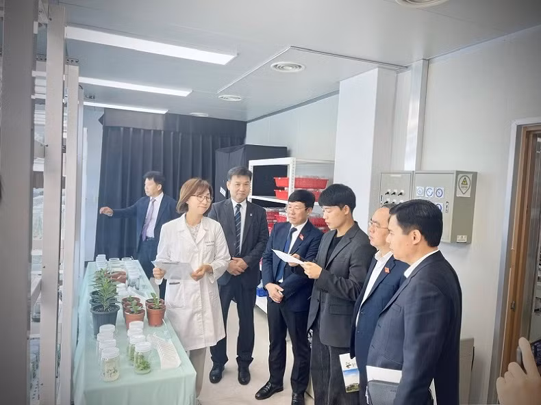 Visite de travail à l’Institut de recherche agricole de la province de Chungcheongbuk.