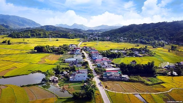 Les rizières longent la route 32. Photo : TTTTXTDL Lai Châu.