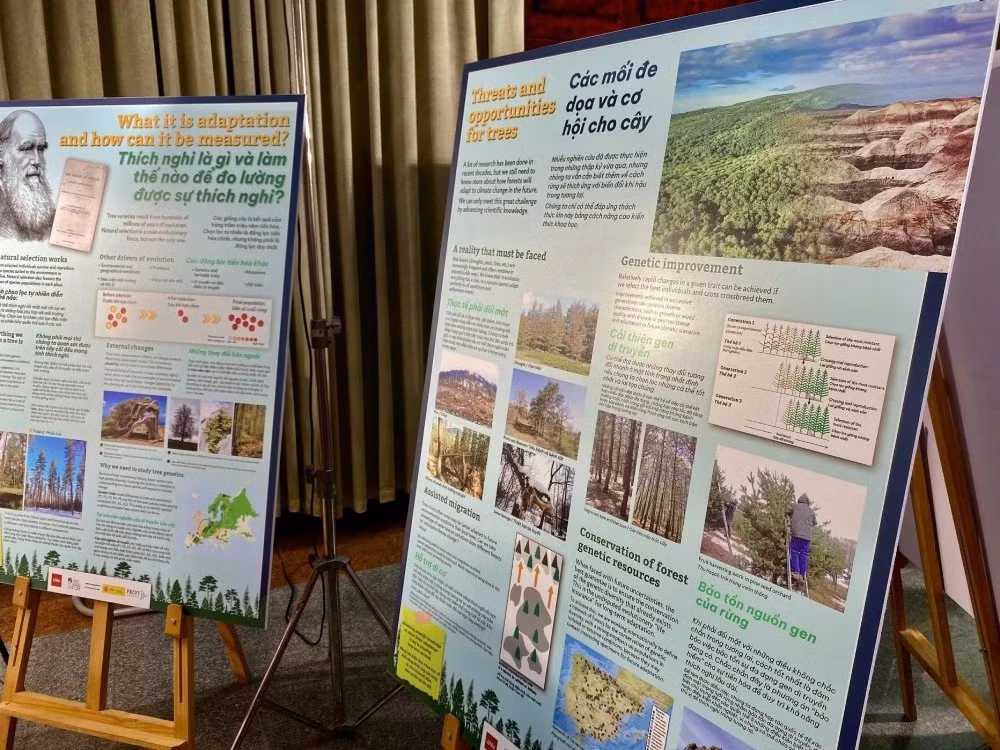 L’exposition présente plus de 30 panneaux bilingues vietnamien-anglais, ainsi que des matériaux et échantillons multisensoriels, offrant une vision globale du rôle essentiel des forêts. Photo : Baoquocte.