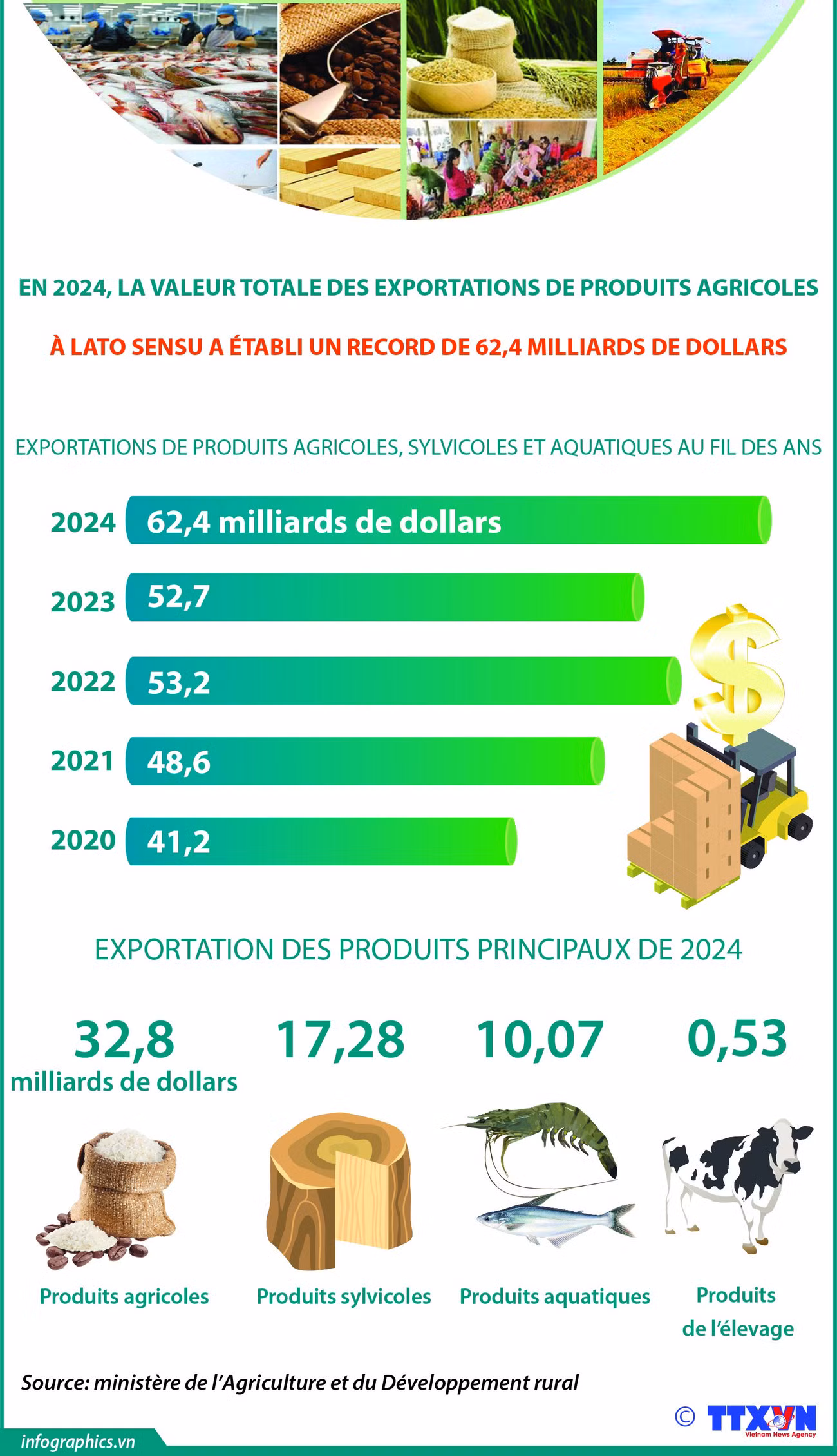 Record des exportations de produits agricoles à lato sensu en 2024 ảnh 1