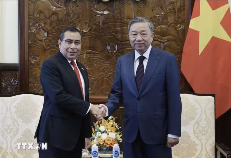 Le président Tô Lâm (droite) et l'ambassadeur panaméen Eligio Alberto Salas. Photo : VNA.