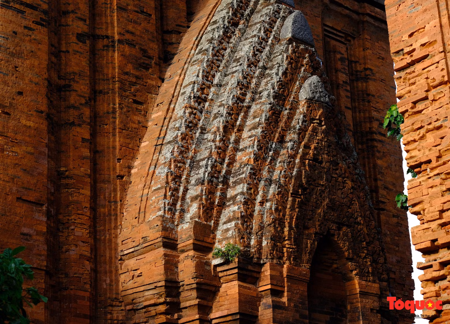 L’architecture des tours jumelles est décrite comme presque parfaite. Une caractéristique notable est la frise de singes qui longe le bord des murs, culminant avec des statues d’oiseaux Garuda aux coins saillants. Contrairement aux autres tours Cham, qui sont généralement divisées en trois niveaux, les deux tours présentent un système complexe de plusieurs faux niveaux. L’architecture des tours jumelles est décrite comme presque parfaite. Une caractéristique notable est la frise de singes qui longe le bord des murs, culminant avec des statues d’oiseaux Garuda aux coins saillants. Contrairement aux autres tours Cham, qui sont généralement divisées en trois niveaux, les deux tours présentent un système complexe de plusieurs faux niveaux.