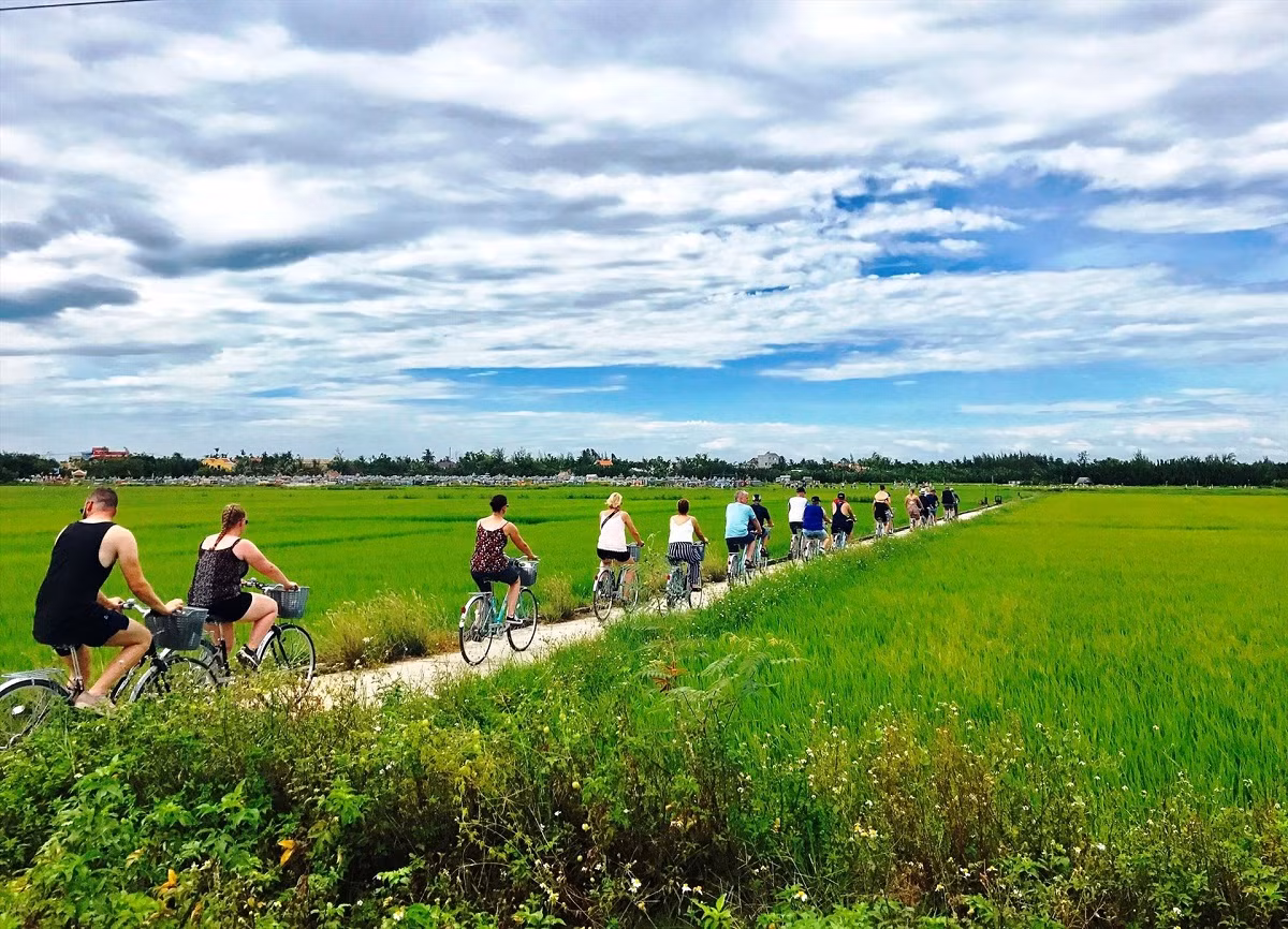 Faire du vélo sur les routes bordées de rizières paisibles l’après-midi constitue une expérience inoubliable pour les visiteurs. Photo : baoquangnam.