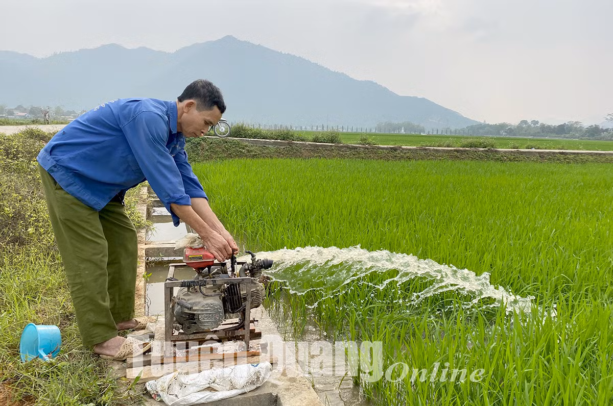 Les infrastructures d’irrigation constituent un facteur fondamental et déterminant pour la mise en œuvre des pratiques de culture à faibles émissions. Photo : baotuyenquang.