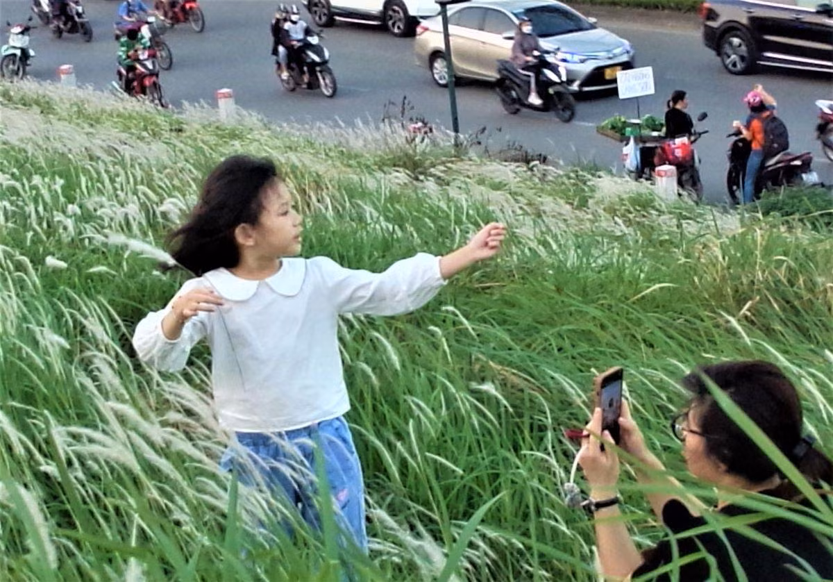 Photo : TUÊ NHI/NDEL.