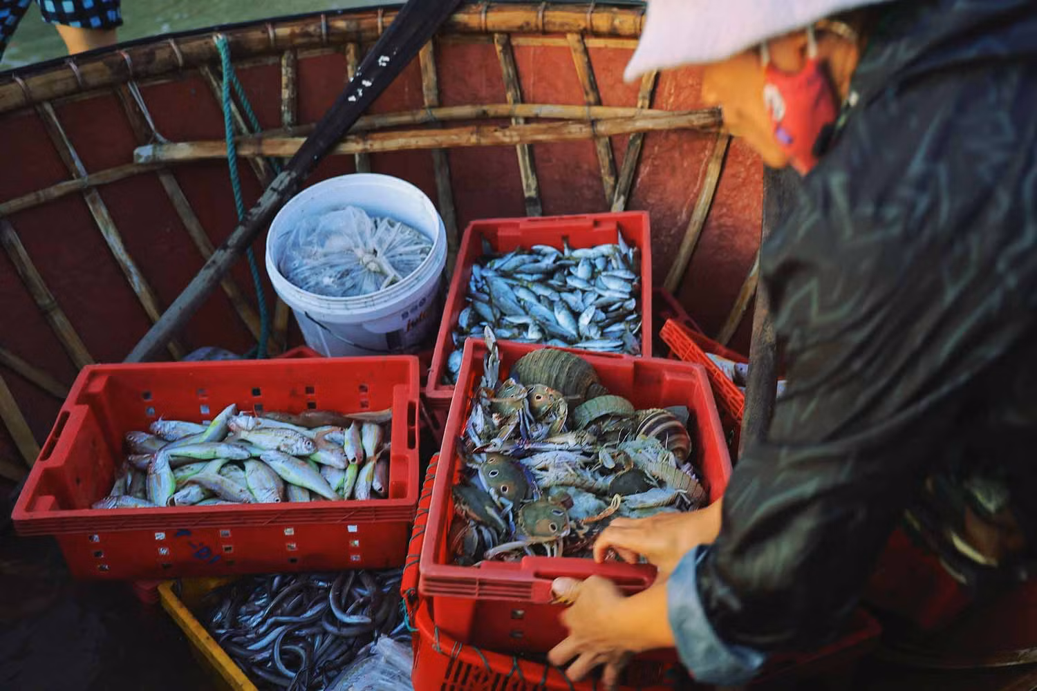 Le marché aux poissons de Tam Tien à Quang Nam ảnh 7