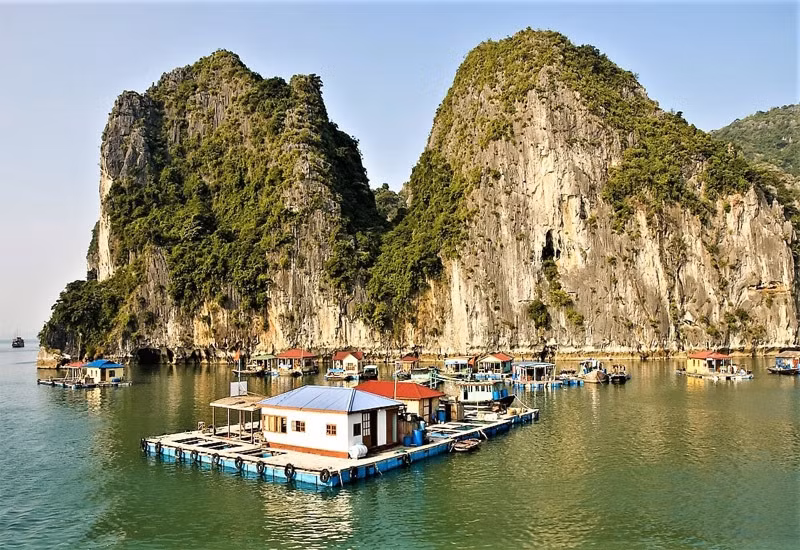 Photo : petrotimes.vn
