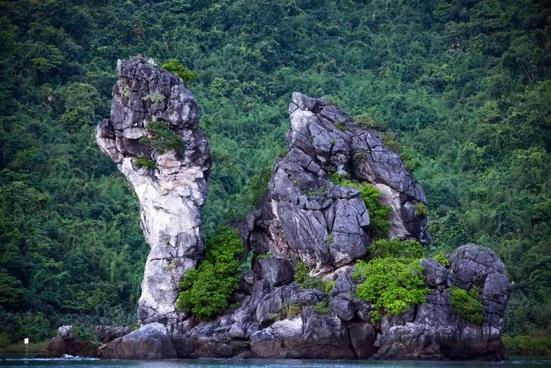 Photo : petrotimes.vn
