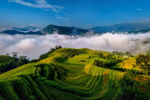 [Photos] Des paysages saisissants à Hoang Su Phi, au plus beau moment de l’année