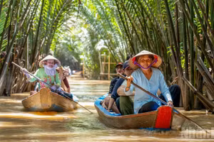 Grâce à l’harmonie entre ses paysages naturels et ses activités de découverte variées, Thoi Son est devenue une destination emblématique de la province de Dong Thap et, plus largement, du sud du Vietnam. 