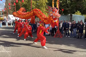 Danse du dragon représentée par des artistes vietnamiens au Japan Festival à Maintenon-Pierres. Photo : VNA.