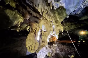 Une grotte aux multiples niveaux de stalactites découverte au cœur d’une forêt de Nghe An