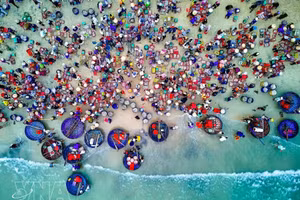 Le marché aux poissons de Tam Tien est animé. Photo : VNA.