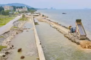 La province de Thanh Hoa accélère les travaux de construction sur les digues et ouvrages de protection importants. Photo : VNA.
