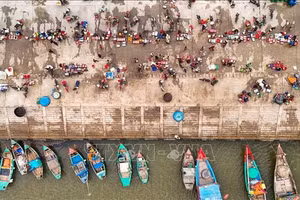 Ha Tinh : une vie animée au port de pêche de Cua Nhuong