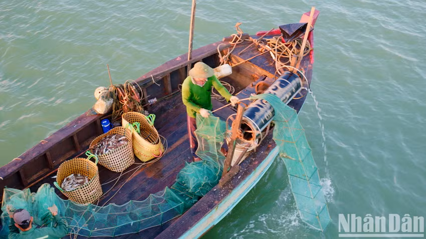 Au retour des bateaux, chargés à ras bord de produits marins frais et abondants, se mêlent la joie, la pérennité des traditions ancestrales et la vitalité même des foyers des pêcheurs. Photo : Nhân Dân.