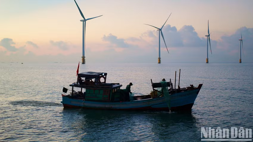 Les bateaux s’élancent vers la mer dès les premières lueurs du jour, dessinant un paysage marin d’une beauté saisissante, digne d’une toile de maître. Photo : Nhân Dân.