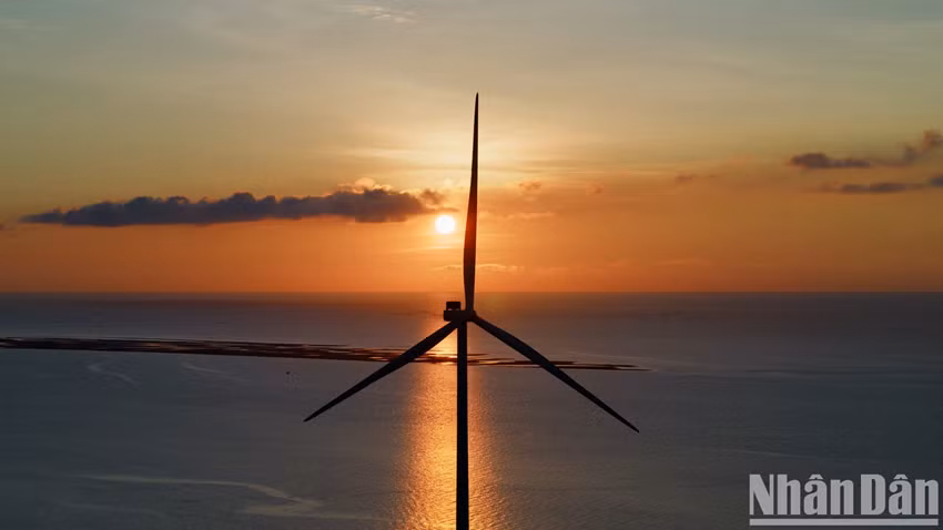 Ces imposantes structures éoliennes incarnent le symbole d’une harmonie parfaite entre l’homme et la nature, exploitant le potentiel naturel tout en préservant l’environnement dans une démarche de développement durable. Photo : Nhân Dân.
