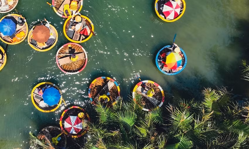 Des touristes découvrent la forêt de cocotiers de Bay Mau, située dans la commune de Cam Thanh à Hoi An. Photo : VnExpress.