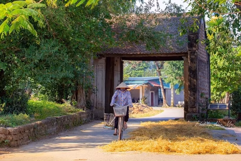 Situé à Son Tây, Hanoï, l'ancien village de Duong Lam est comme un musée vivant des campagnes du Nord du Vietnam. Photo : Nina May. Situé à Son Tây, Hanoï, l'ancien village de Duong Lam est comme un musée vivant des campagnes du Nord du Vietnam. Photo : Nina May.