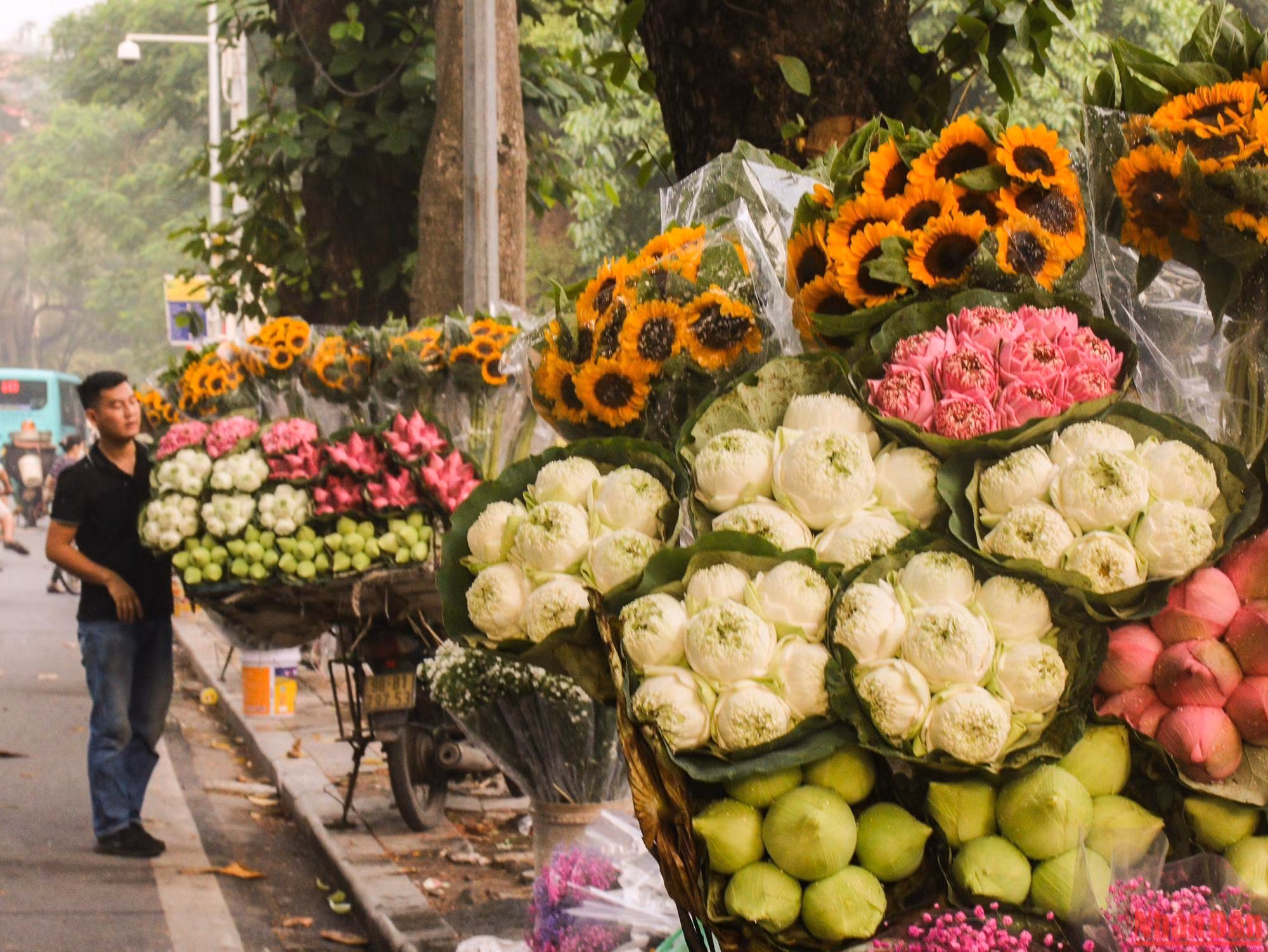 Un marchand ambulant en haut de la rue Thuy Khuê (quartier Thuy Khuê, arrondissement de Tây Hô, Hanoï) propose des fleurs d'automne typiques telles que le lotus et le tournesol…