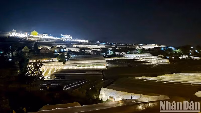 Le « Voyage nocturne à Dà Lat » à bord des wagons anciens permet aux voyageurs de se détendre en admirant Dà Lat la nuit.