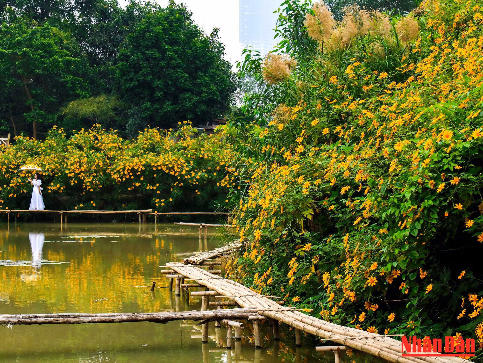 Le paysage romantique du jardin attire de nombreux visiteurs, surtout le week-end.