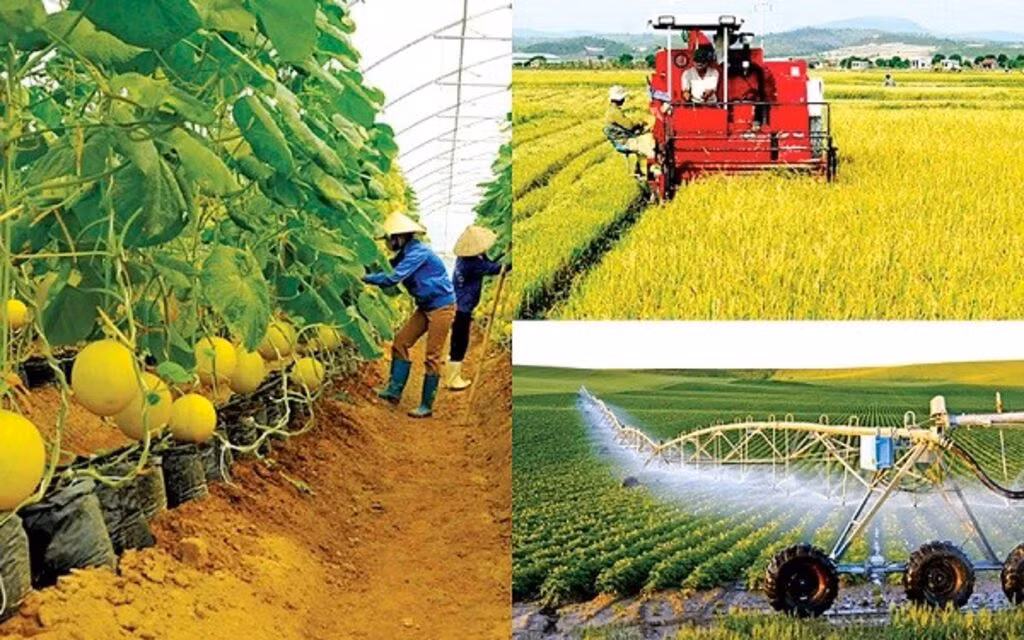 Un nouveau moteur pour le développement de l’agriculture du Vietnam 