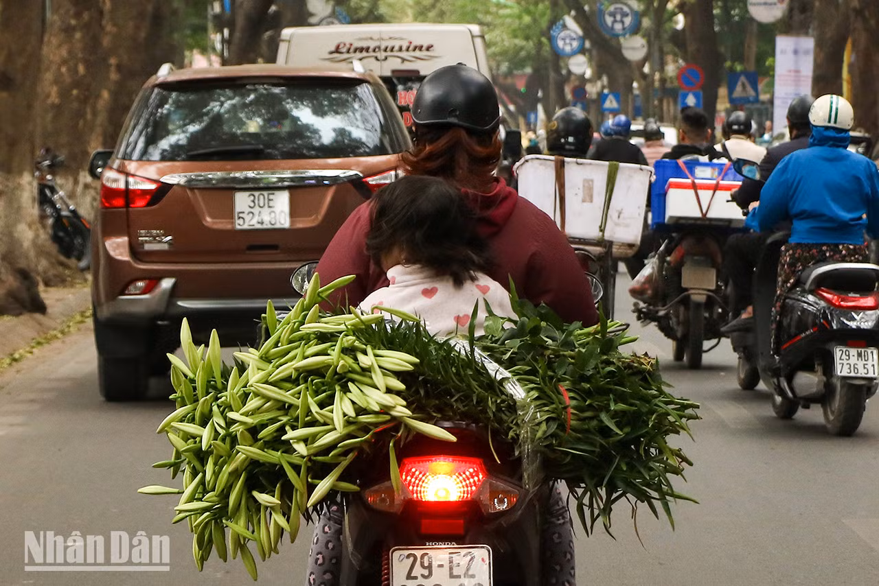Les habitants achètent des bouquets de lys pour décorer leurs maisons.